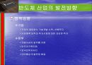 반도체산업 20페이지