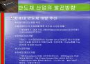 반도체산업 23페이지