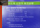 반도체산업 24페이지