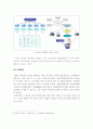 베이비붐 세대에 노인들의 실버지식산업 활성화 방안 7페이지