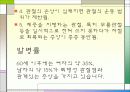 관절염에 대한 정리 16페이지