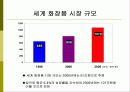 아모레 퍼시픽 글로벌 마케팅 전략 5페이지