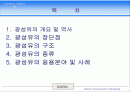 광섬유개론(光纖維槪論) 발표 자료 2페이지