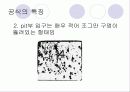 공식(孔蝕, pitting) 8페이지