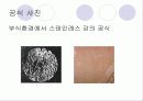공식(孔蝕, pitting) 12페이지