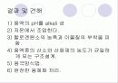 공식(孔蝕, pitting) 13페이지