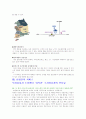 서비스 전략 분석 - 삼성전자 서비스의 성공 전략 분석 9페이지