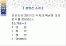 사업계획서 - 알고르는 김밥 11페이지