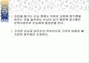 사업계획서 - 알고르는 김밥 37페이지