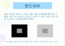 색의대비와배색 2페이지