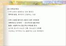 가족문제에 대한 해결책 및 대안 14페이지