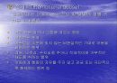 아동학대 5페이지