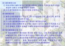 단체수의계약제도와 도덕적해이 6페이지