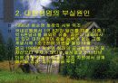 규제의 정치적 과정 3페이지