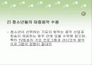 청소년 문화 16페이지