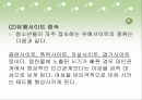 청소년 문화 31페이지