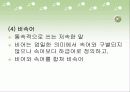 청소년 문화 51페이지