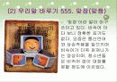 청소년 문화 63페이지