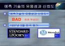 [정치적 위험]기업에서 정치적 위험의 영향 26페이지