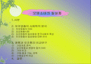 모방소비의 일상화 2페이지