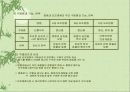 모방소비의 일상화 27페이지