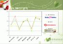 [마케팅]레드망고(RED MANGO) 마케팅전략과 마케팅사례비교 11페이지