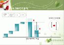 [마케팅]레드망고(RED MANGO) 마케팅전략과 마케팅사례비교 13페이지