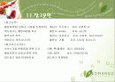 [마케팅]레드망고(RED MANGO) 마케팅전략과 마케팅사례비교 30페이지