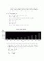 도요타자동차와 현대자동차의 유럽진출전략 11페이지
