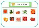 식품구성탑ppt 16페이지