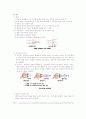 거울과 렌즈 세안 9페이지