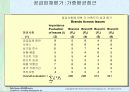 매입시스템 11페이지