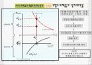 화페의 이자율과 환율 13페이지