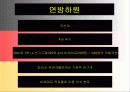 독일 정치 10페이지