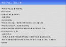 해외시장조사 27페이지