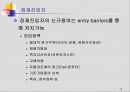 글로벌 마케팅전략 기획 12페이지