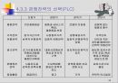 글로벌 마케팅전략 기획 46페이지