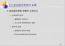 글로벌 마케팅전략 기획 48페이지