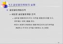 글로벌 마케팅전략 기획 49페이지