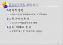 디지털시대의 글로벌마케팅 13페이지