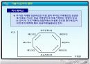 증권과 생활 29페이지