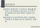 우리나라 투자은행문제점 및 발전방안 12페이지
