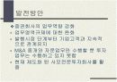 우리나라 투자은행문제점 및 발전방안 13페이지