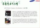 삼성테스코  홈플러스에대해 20페이지