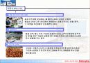 홈플러스에대해 13페이지
