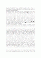 대규모 메이커의 마케팅전략 4페이지