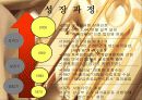 쓰리세븐(THREE SEVEN)의 마케팅 4페이지