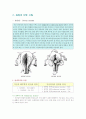 수술실 case study(lavh) 2페이지