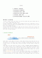 (MARKETING) 하이마트의 마케팅 성공전략 - 광고전략을 통한 마케팅 2페이지