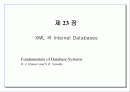 XML 과 Internet Databases 1페이지